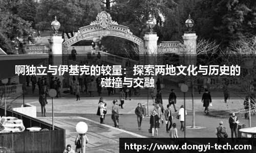 333体育官网